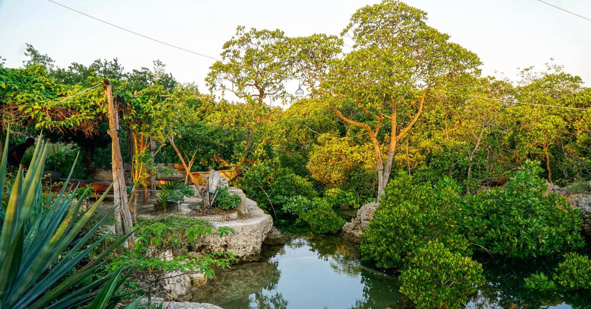 Mkoko Villa *